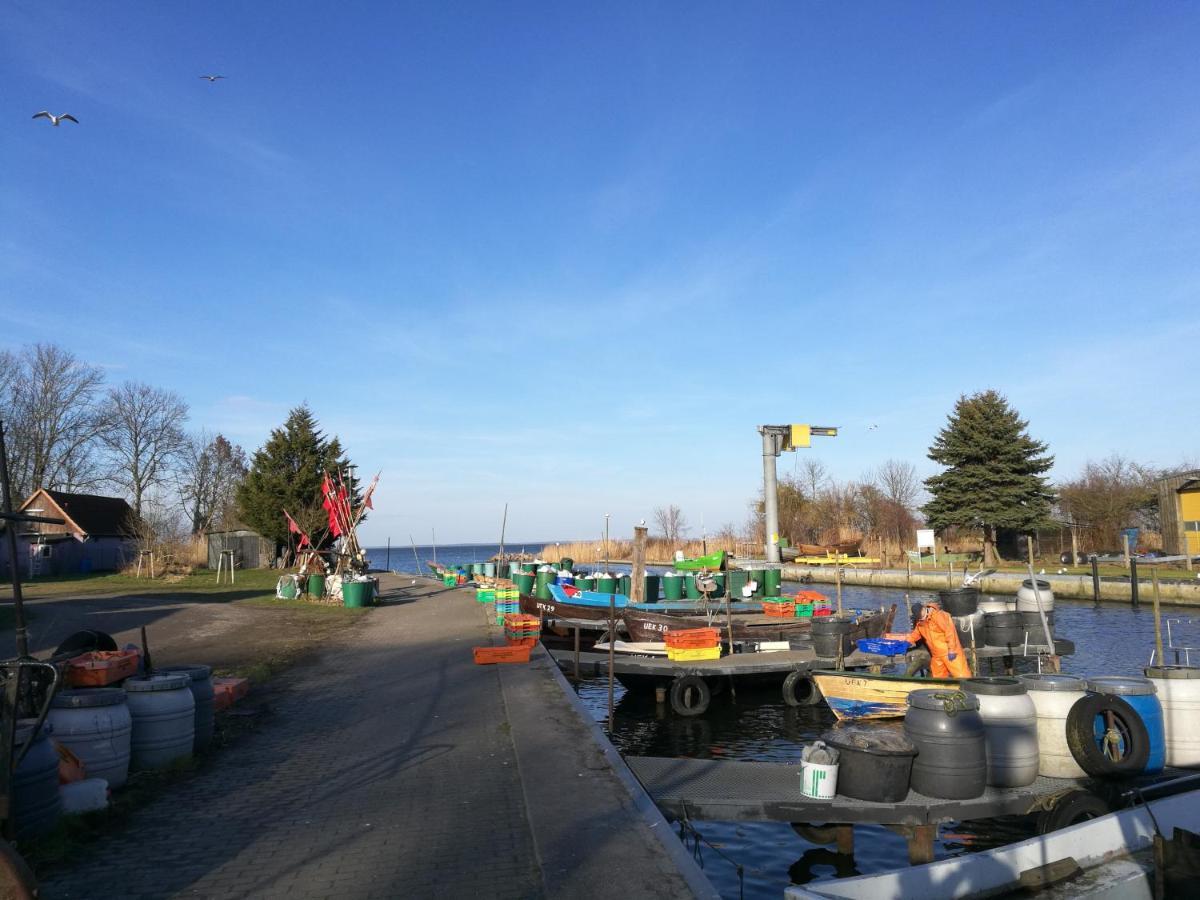 FEWO Hafenblick Ueckermünde Exterior foto