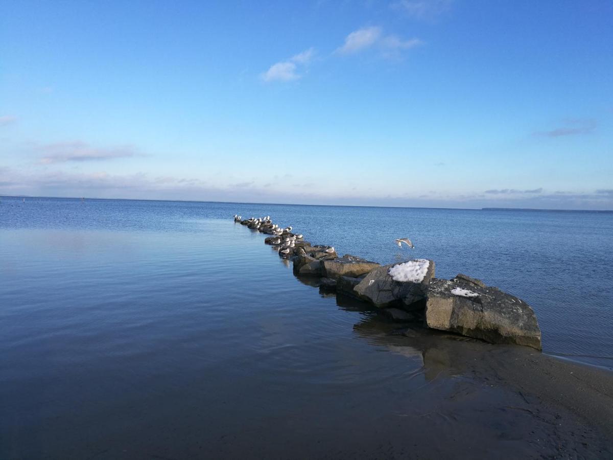 FEWO Hafenblick Ueckermünde Exterior foto